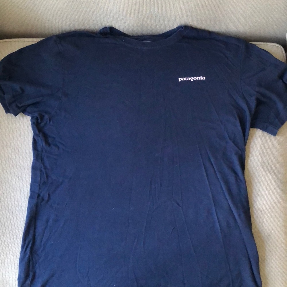 Men’s Classic Patagonia Tee